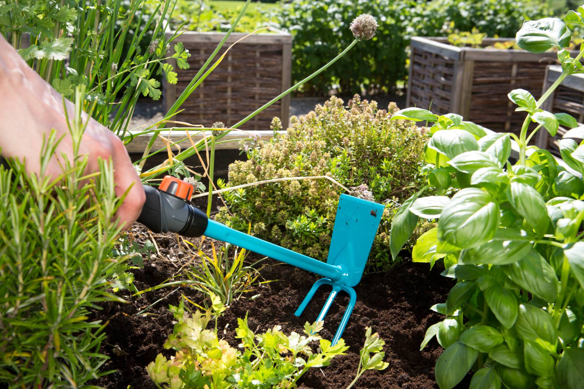 Gartengestaltung Ideen & Tipps für den Garten OBI