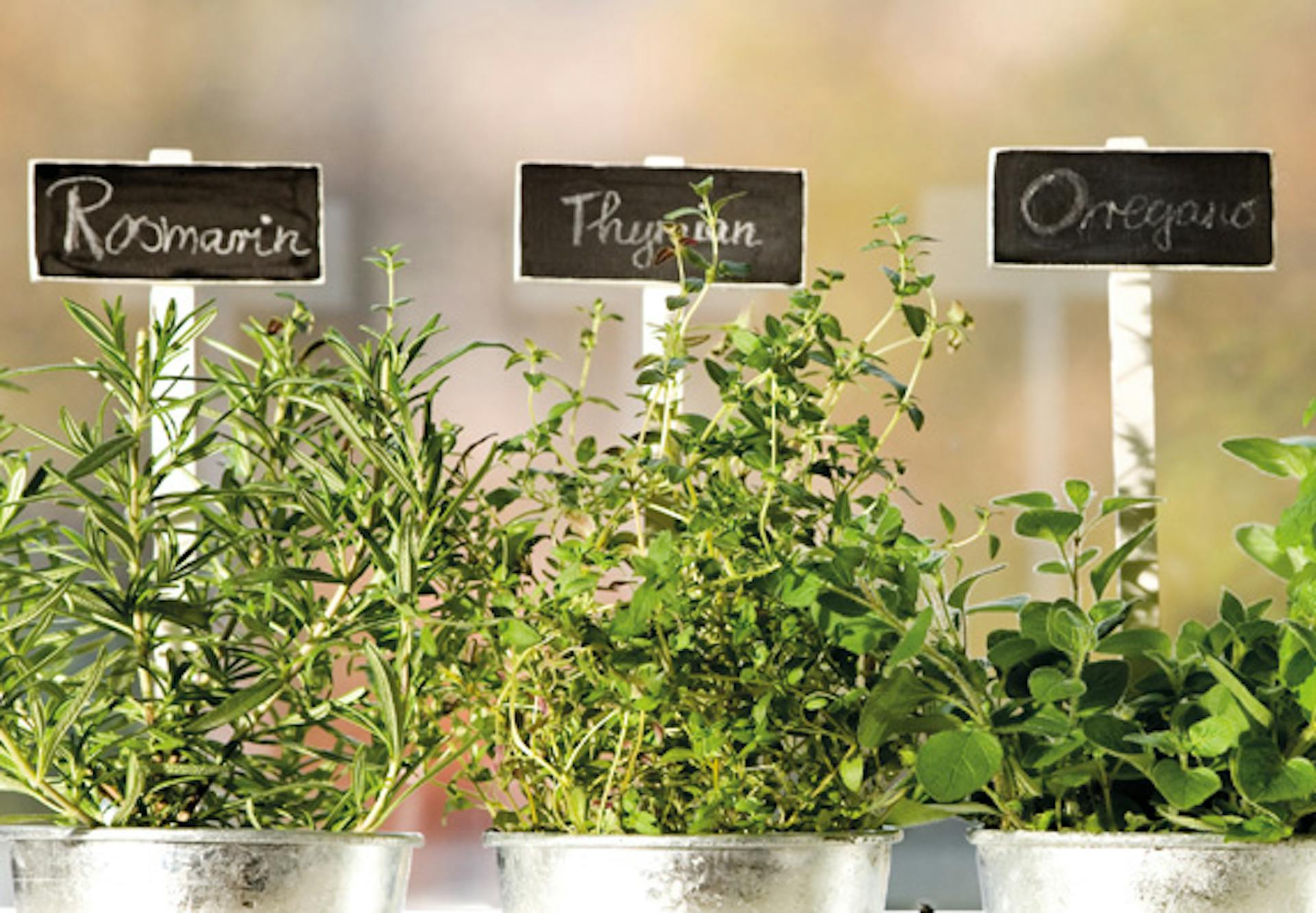 Beschrifteter Kräutergarten