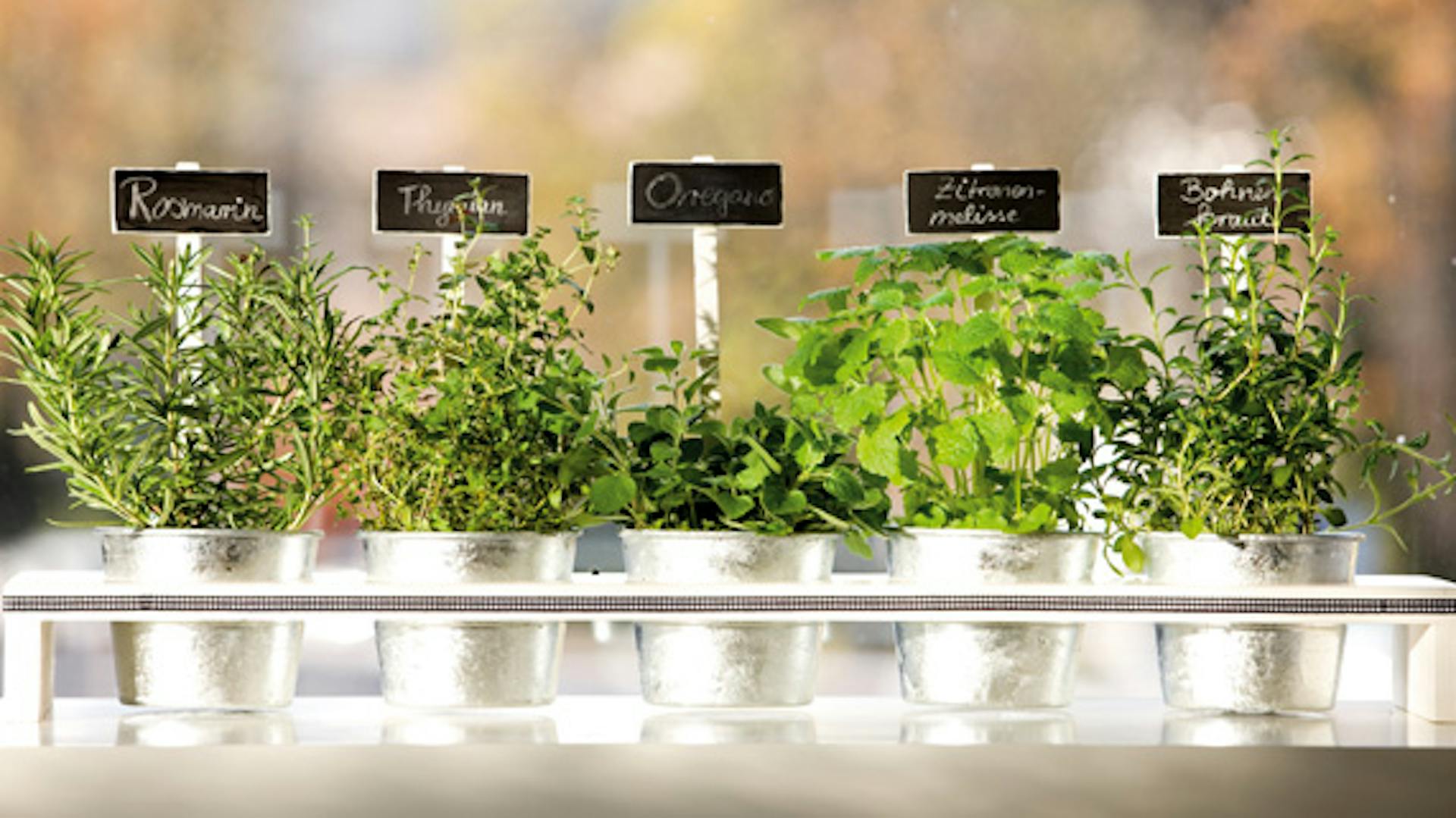 Giardino di erbe aromatiche