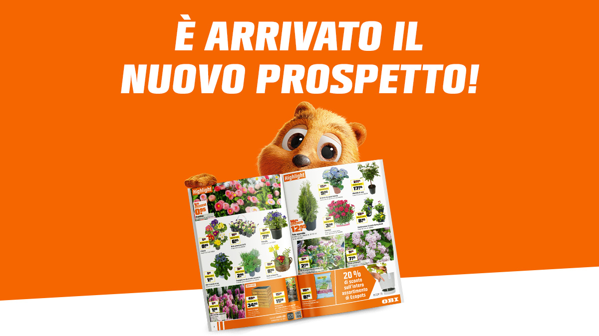 Offerte in pubblicità