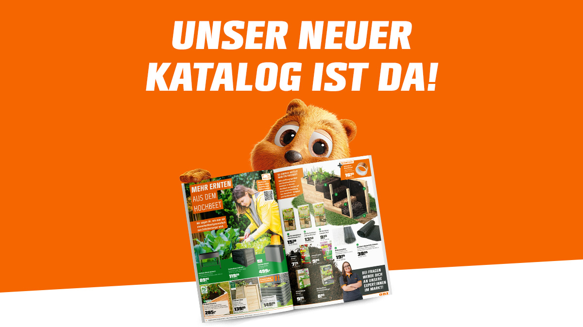 Katalog
