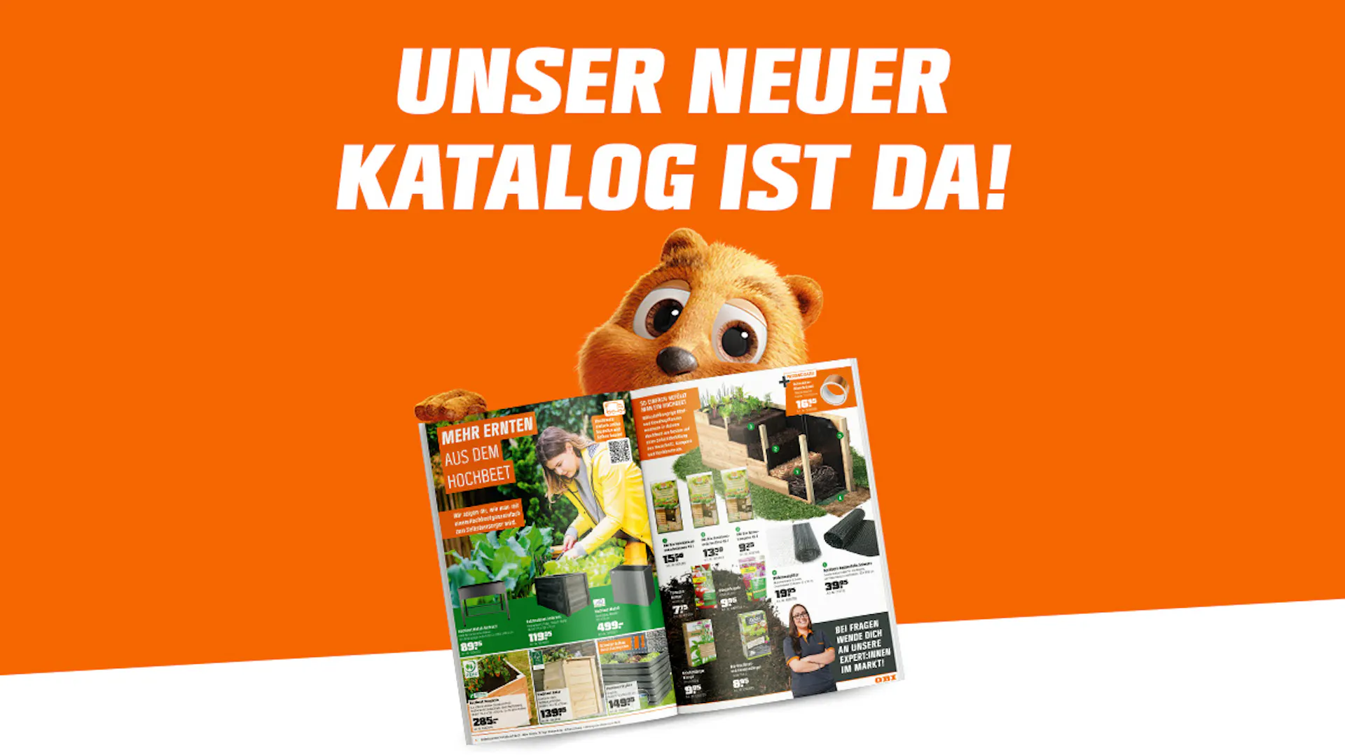 Katalog