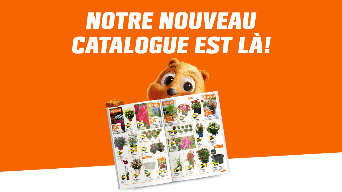 Offres populaires de la publicité
