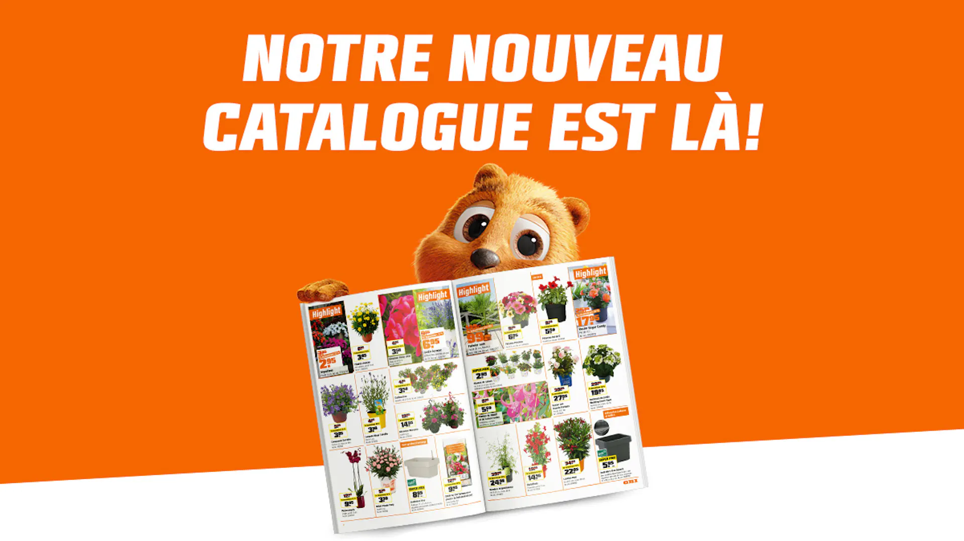 Offres populaires de la publicité