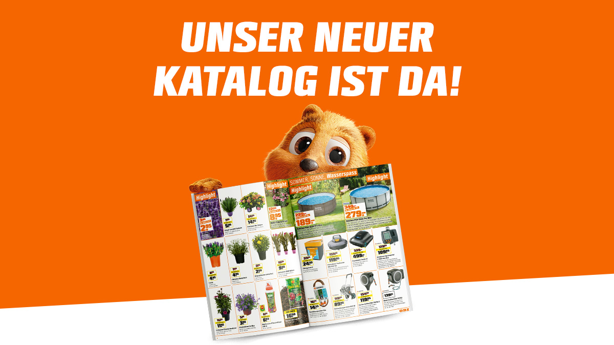 Angebote aus der Werbung