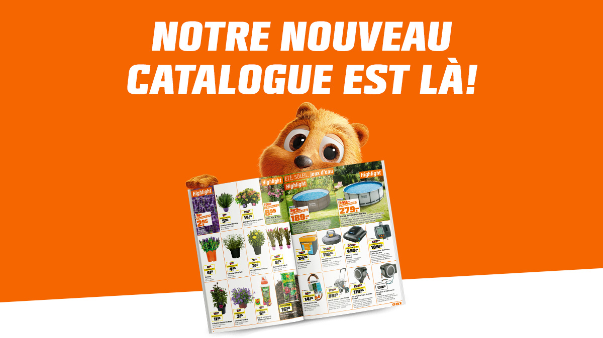 Offres populaires de la publicité