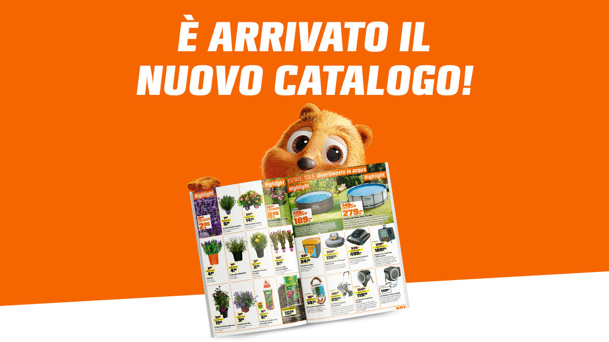Le offerte più richieste dalla nostra pubblicità