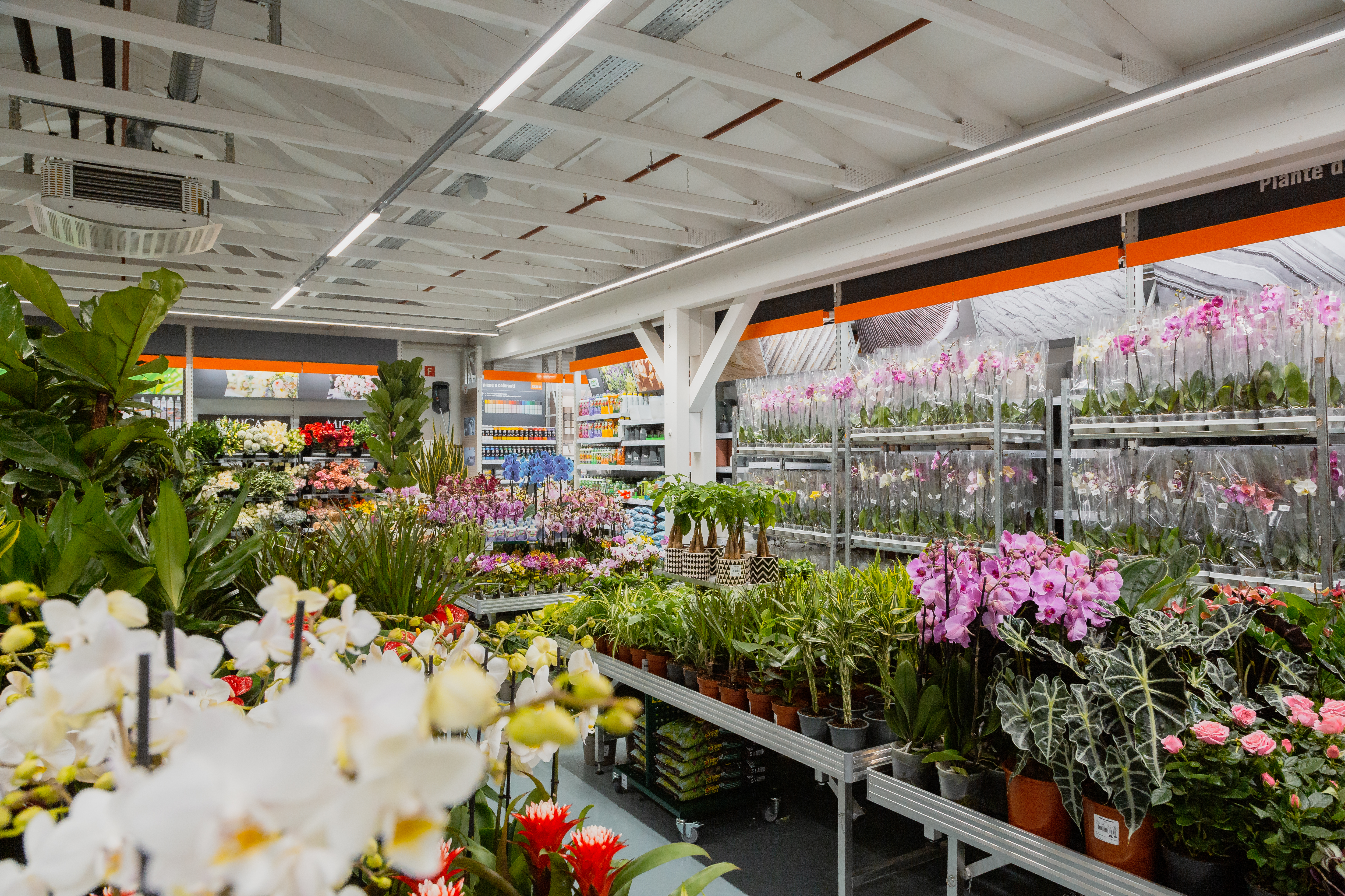 Magasin OBI