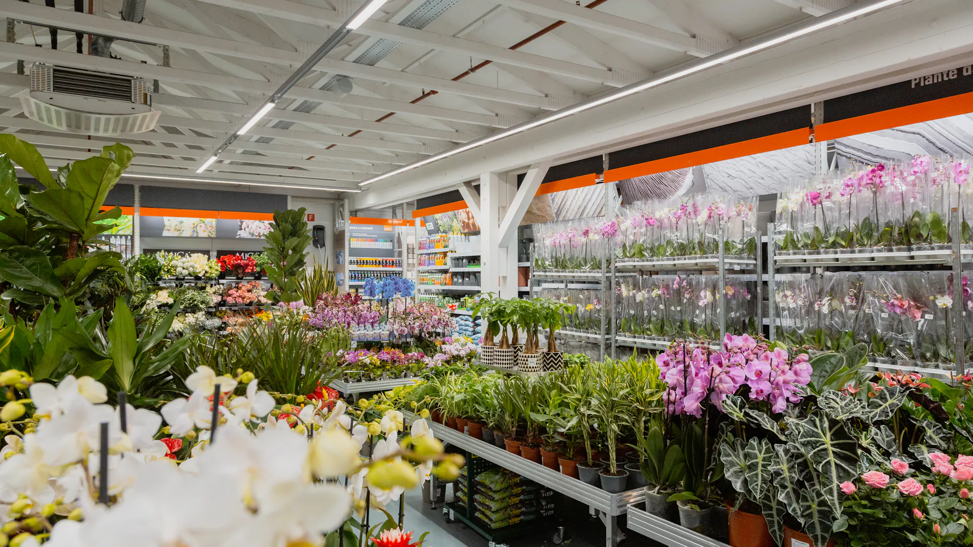 Magasin OBI