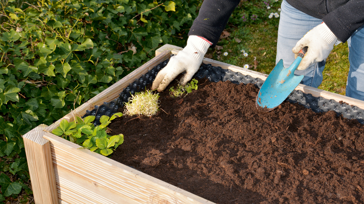 Frühling Es ist Zeit, draussen zu starten! OBI
