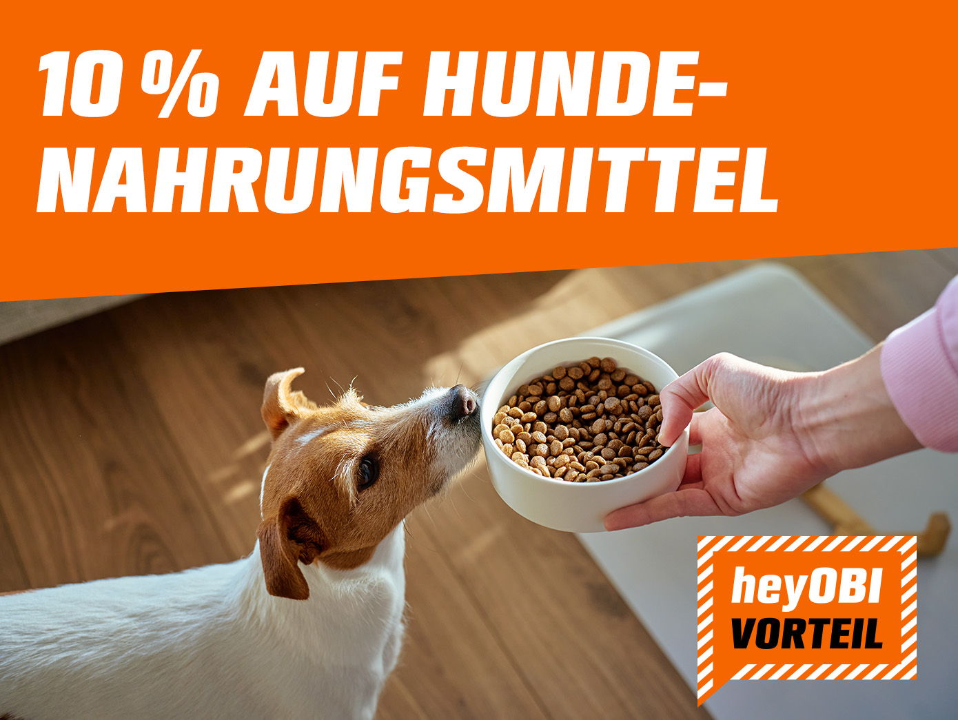 heyOBI Angebot