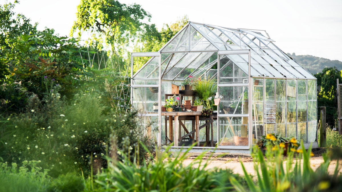 Gewächshaus