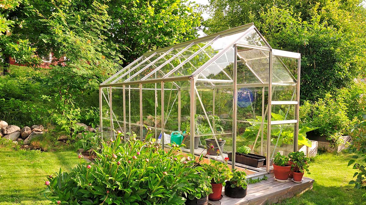 Gewächshaus