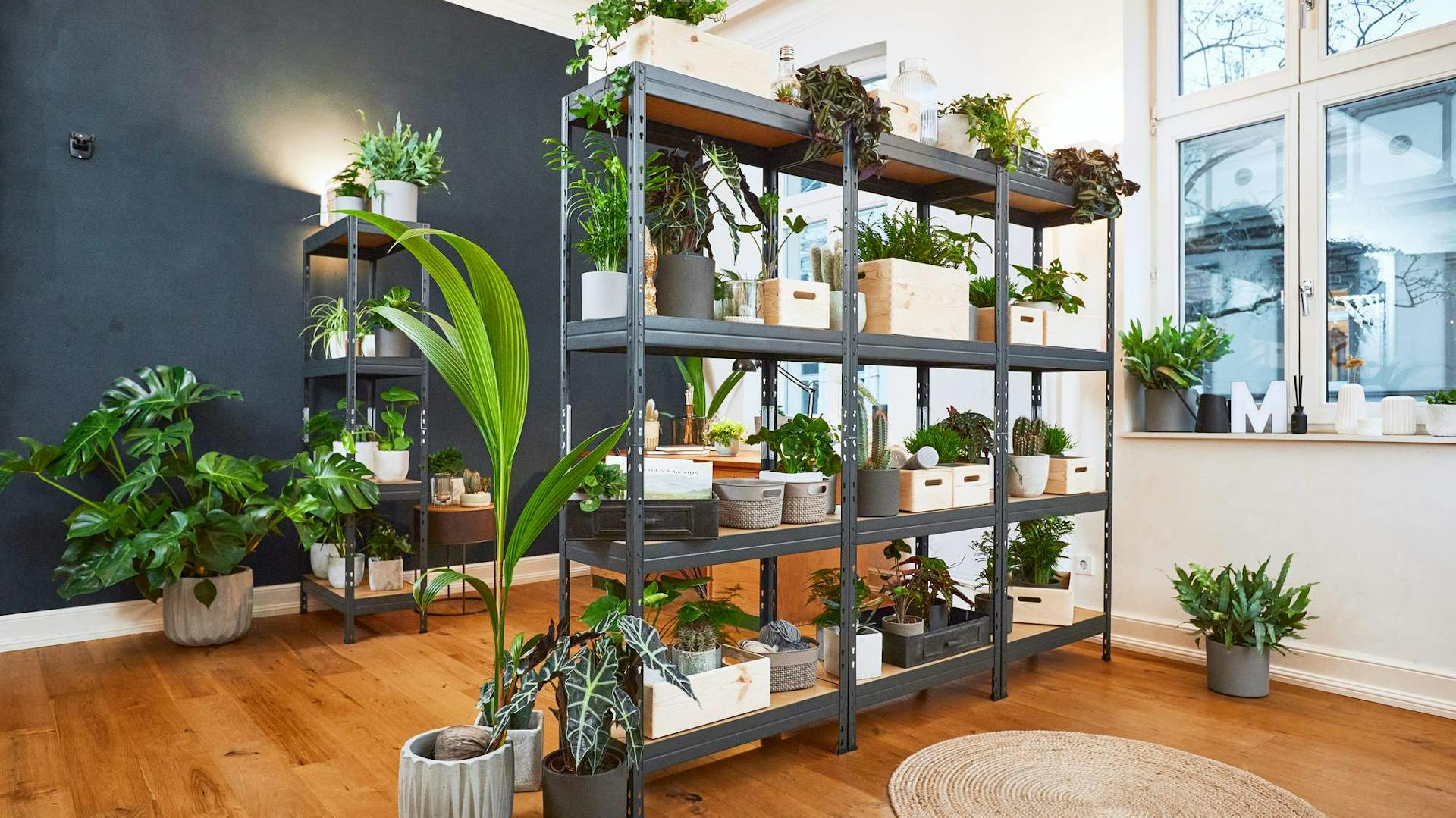 Regal als Raumtrenner