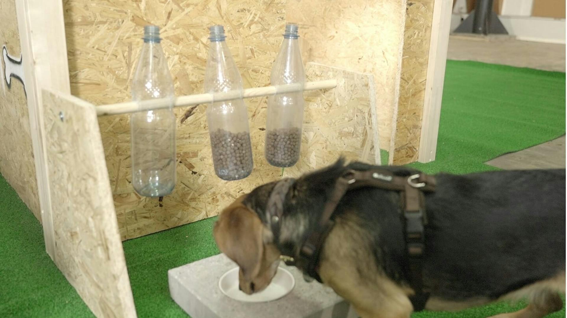 Es ist ein schwarz-brauner Hunde zu sehen. Dieser steht vor einem Hundenapf, darüber ist eine Futterstation aus Holz aufgebaut. Sie besteht aus drei Plastikflaschen, welche zum Teil mit Hundefutter gefüllt sind.