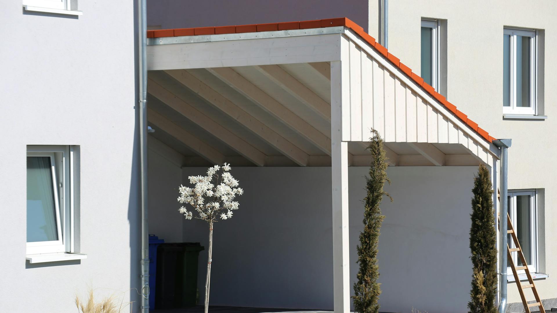 Carport mit Schrägdach direkt am Haus, davor Rasenfläche und Pflanzen.