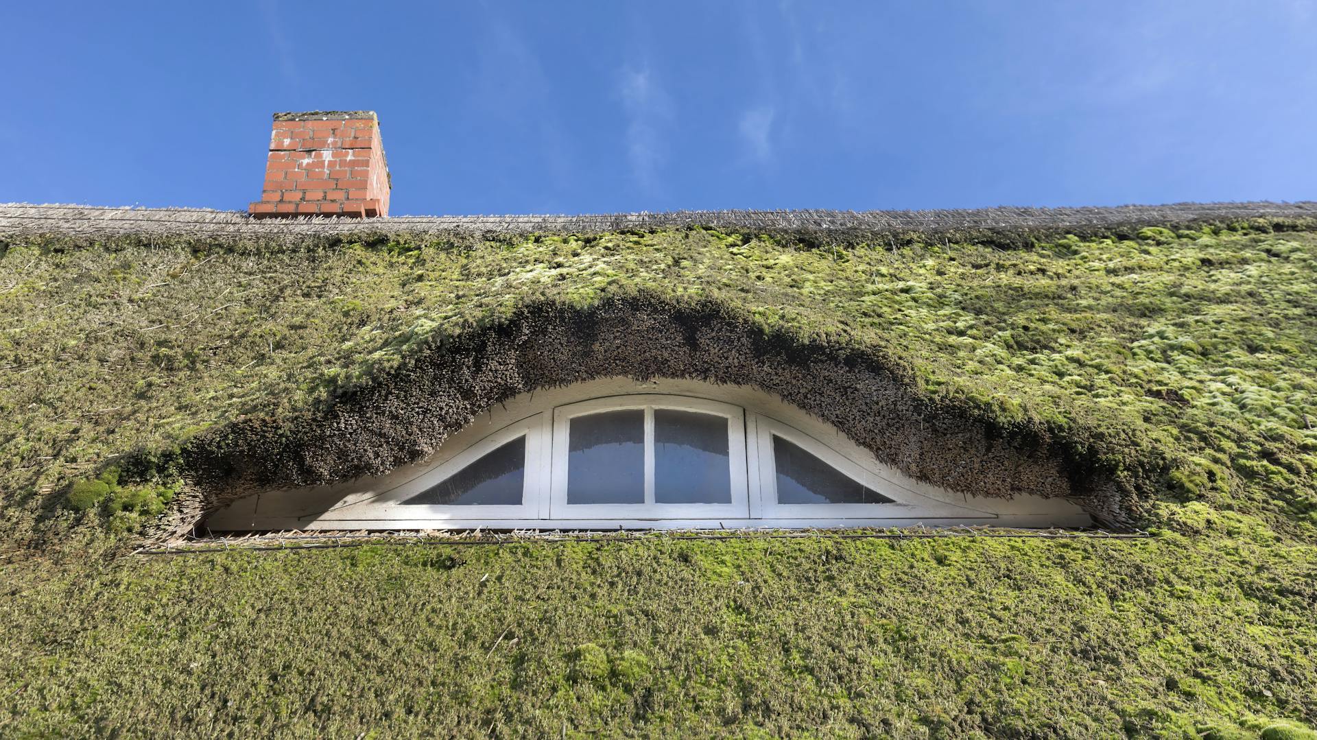 Fledermausgaube mit Fenster in mit Gras bewachsenem Dach