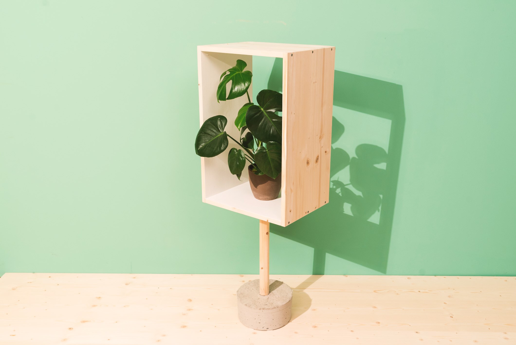 Sideboard mit Fuß aus Beton und Zimmerpflanze darin als Dekoration für Badezimmer in Betonoptik