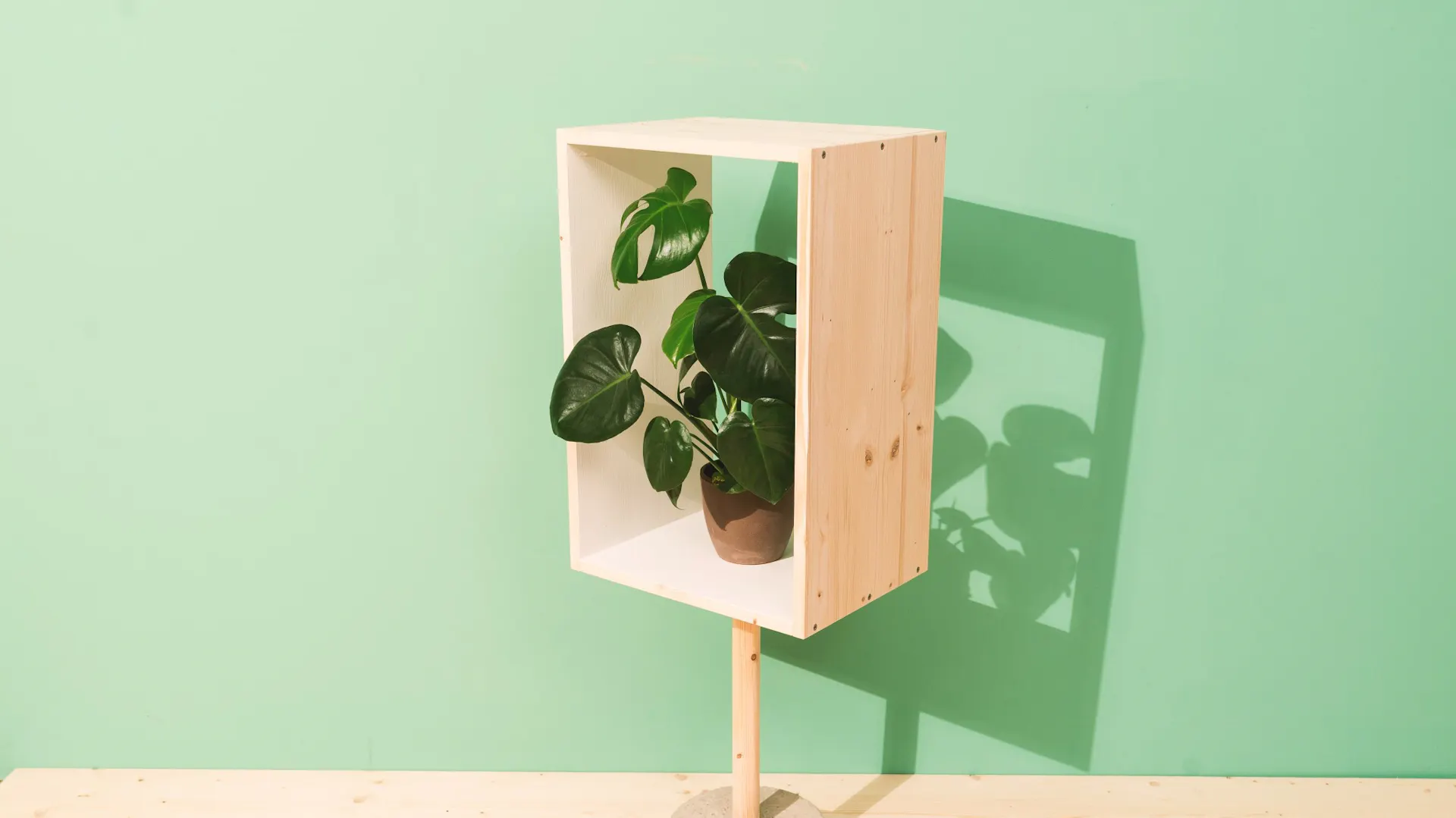 Sideboard mit Fuß aus Beton und Zimmerpflanze darin als Dekoration für Badezimmer in Betonoptik