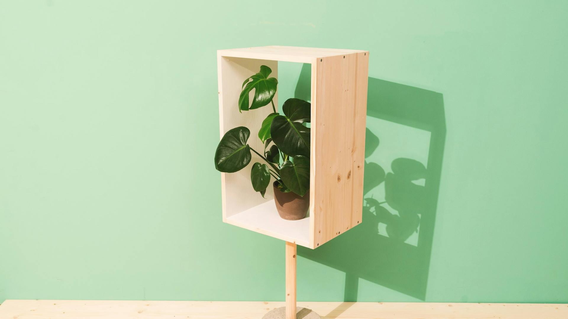 Sideboard mit Fuß aus Beton und Zimmerpflanze darin als Dekoration für Badezimmer in Betonoptik