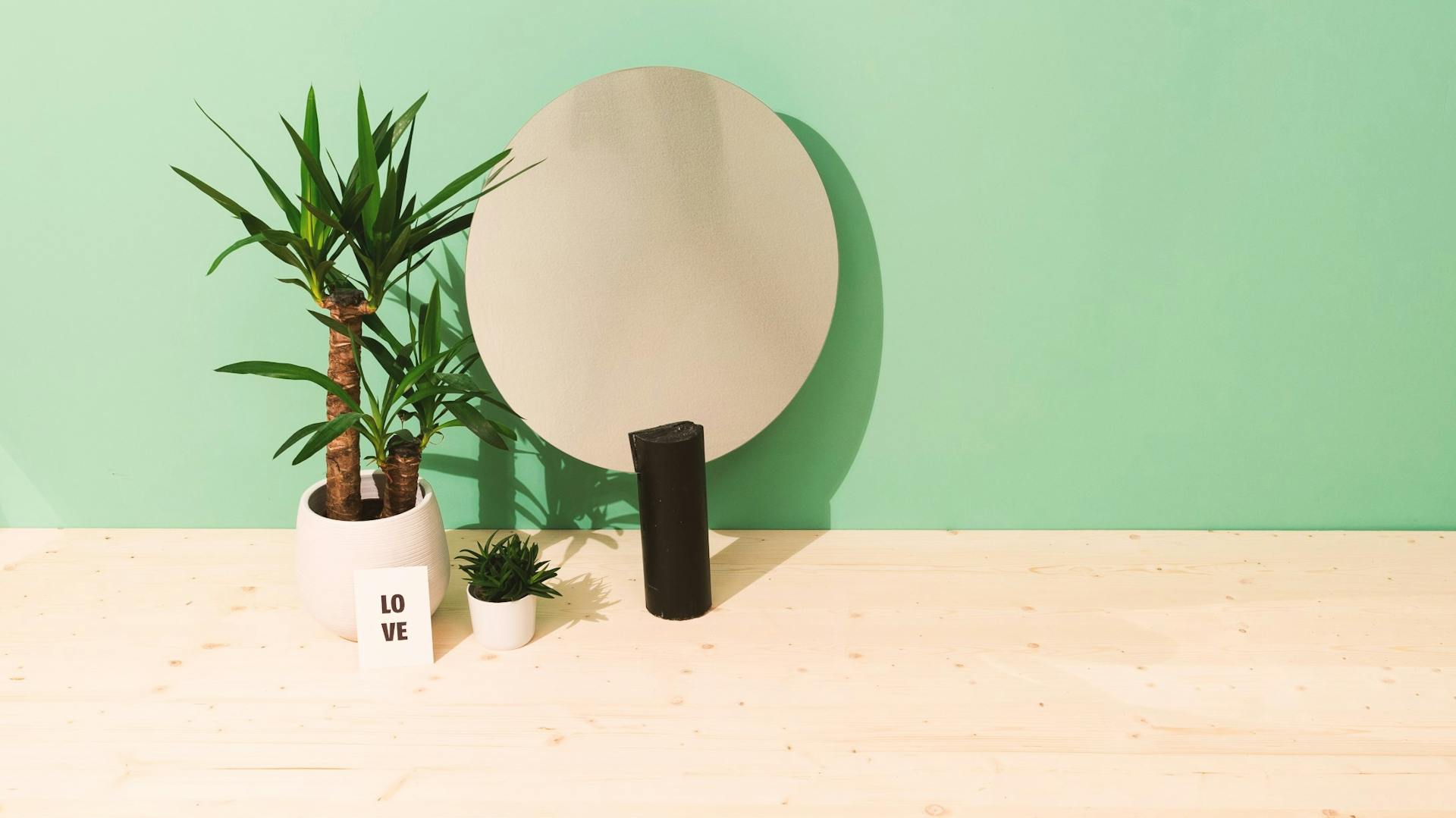 Spiegel mit schwarzem Fuß aus Beton neben Zimmerpflanzen als Dekoration für Bad in Betonoptik