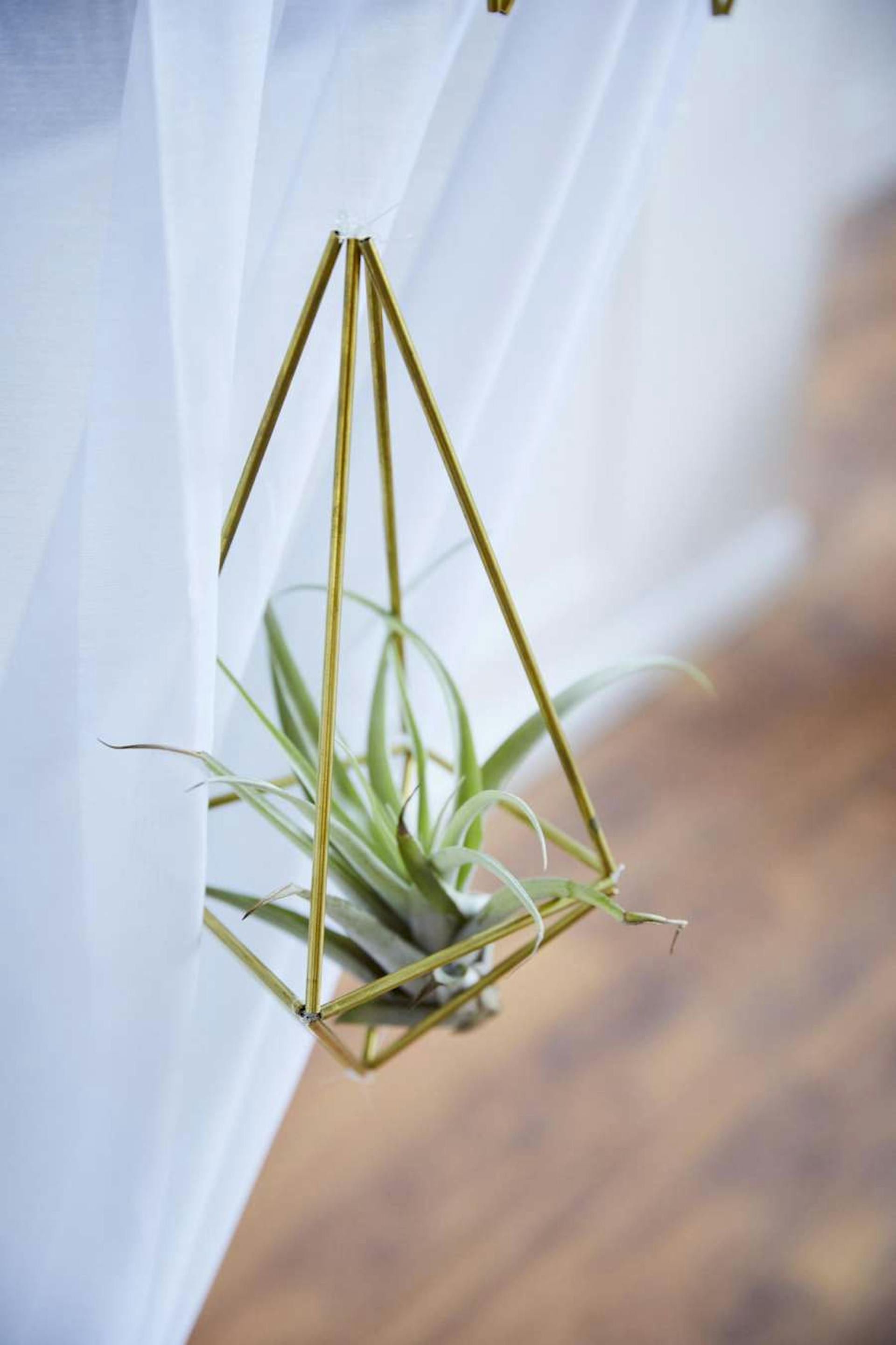 Ein selbstgebautes goldfarbenes Messingprisma als Pflanzenhalterung.