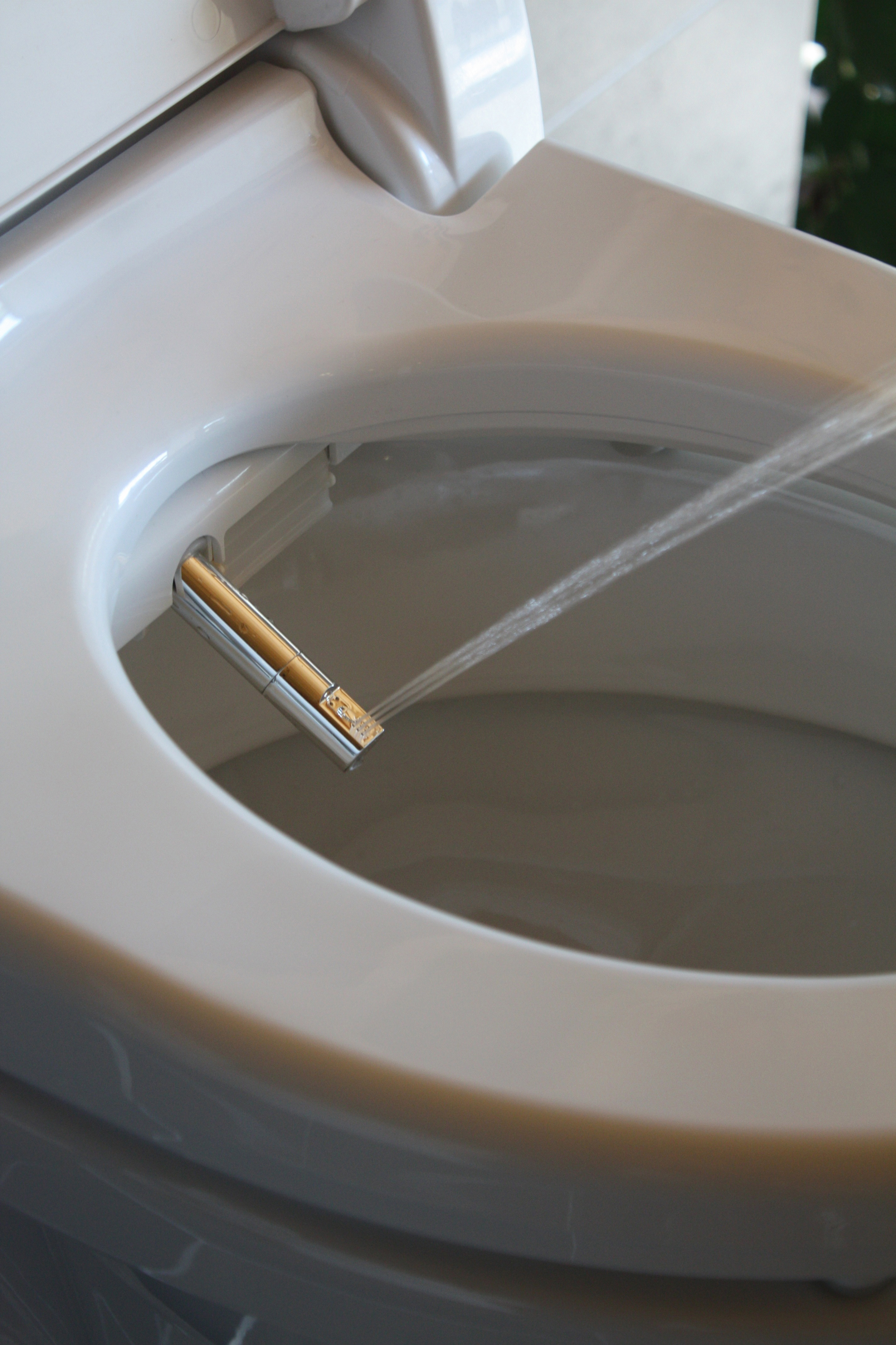 Hygiene bietet ein Dusch-WC mit einem Duscharm zur Reinigung.