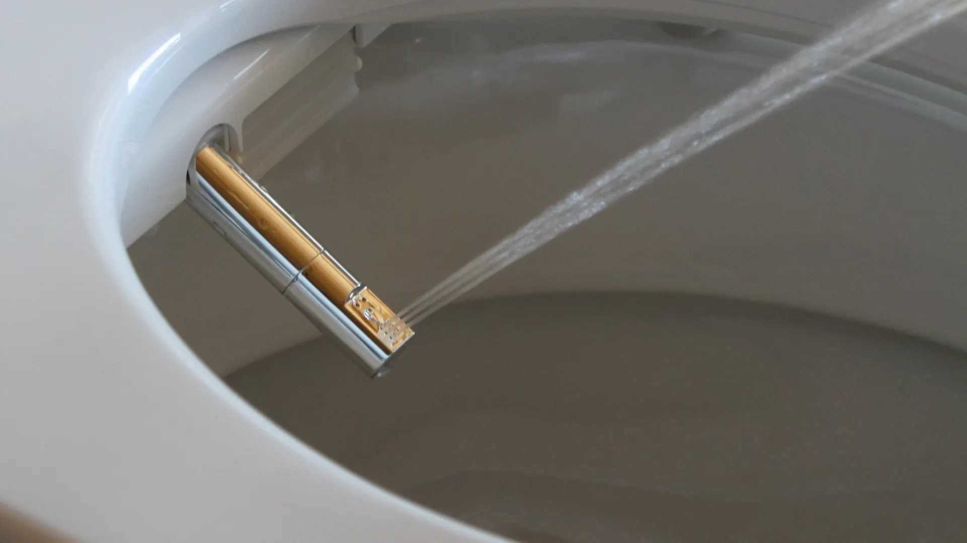 Hygiene bietet ein Dusch-WC mit einem Duscharm zur Reinigung.
