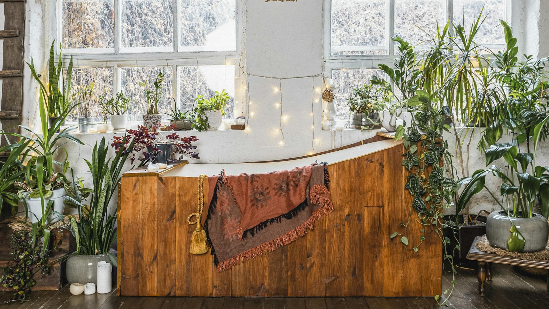 Városi dzsungel: Fürdőszoba tömör fa berendezéssel és növényekkel