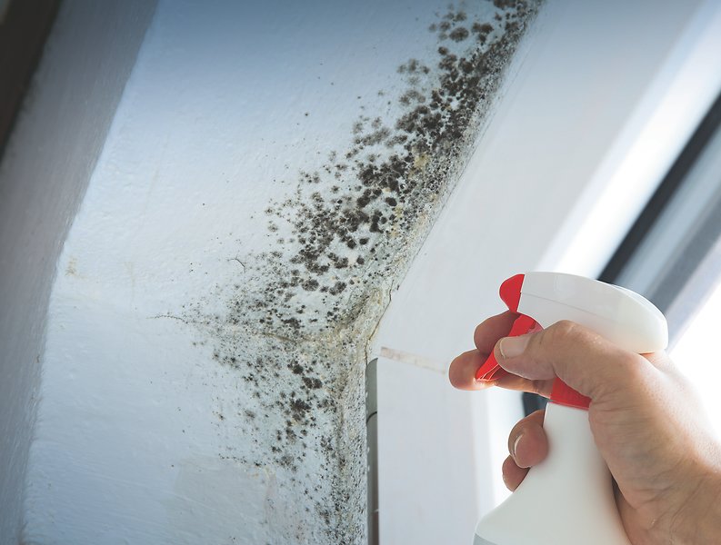 Jemand reinigt Schimmel im Badezimmer