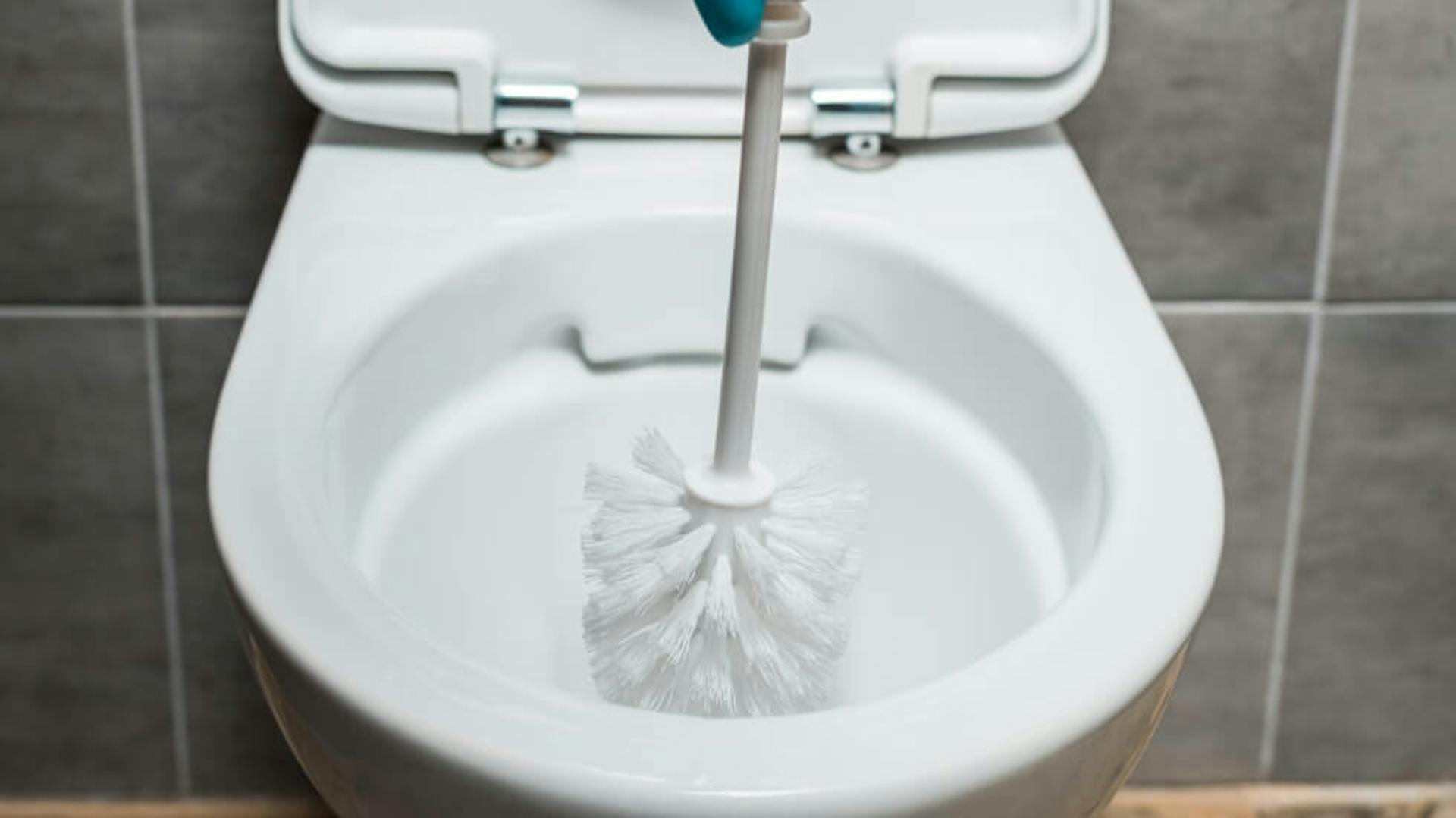 Una persona pulisce la toilette con lo scopino per WC