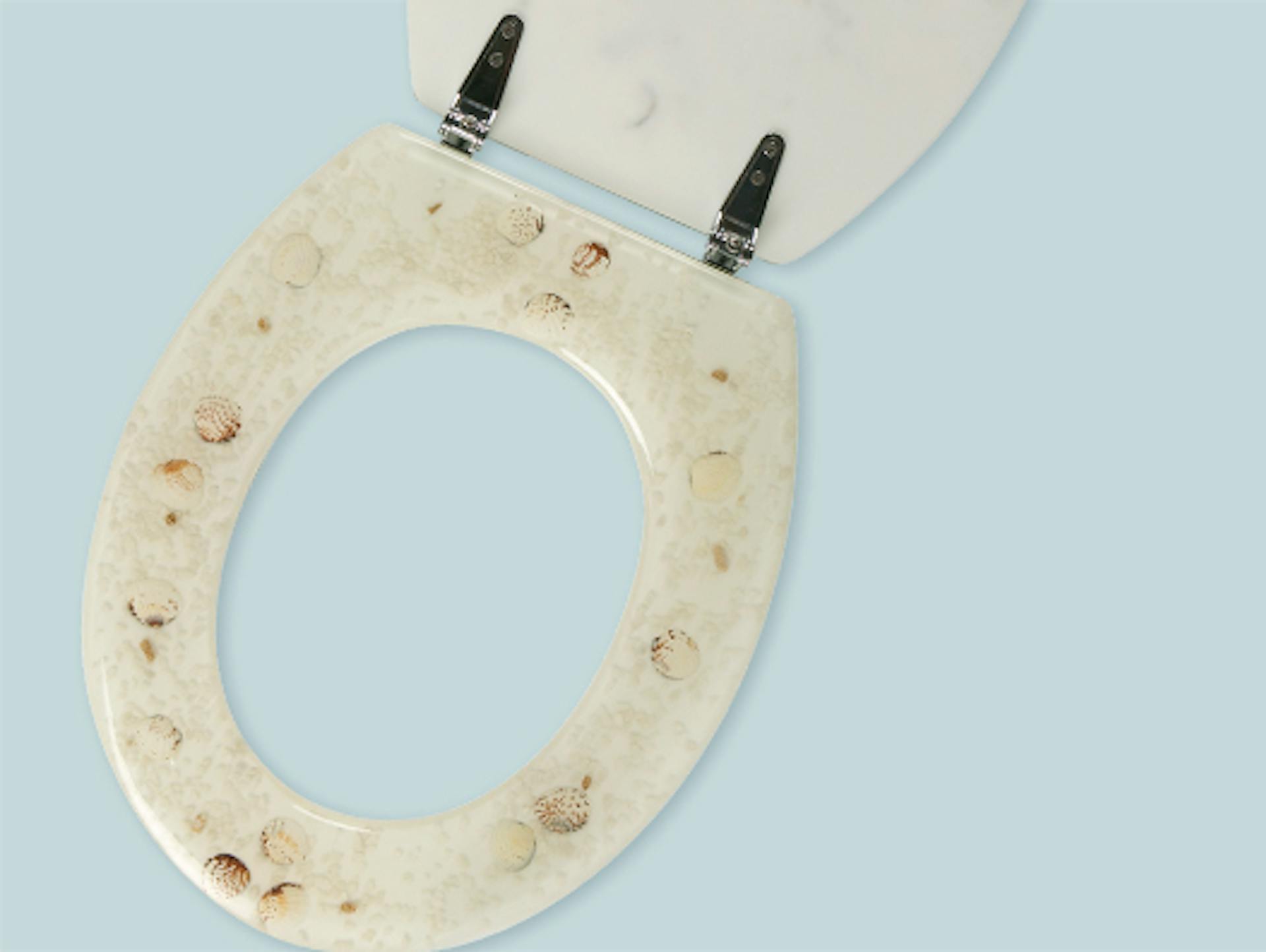 Toilettensitz mit geöffnetem Deckel und Scharnieren.