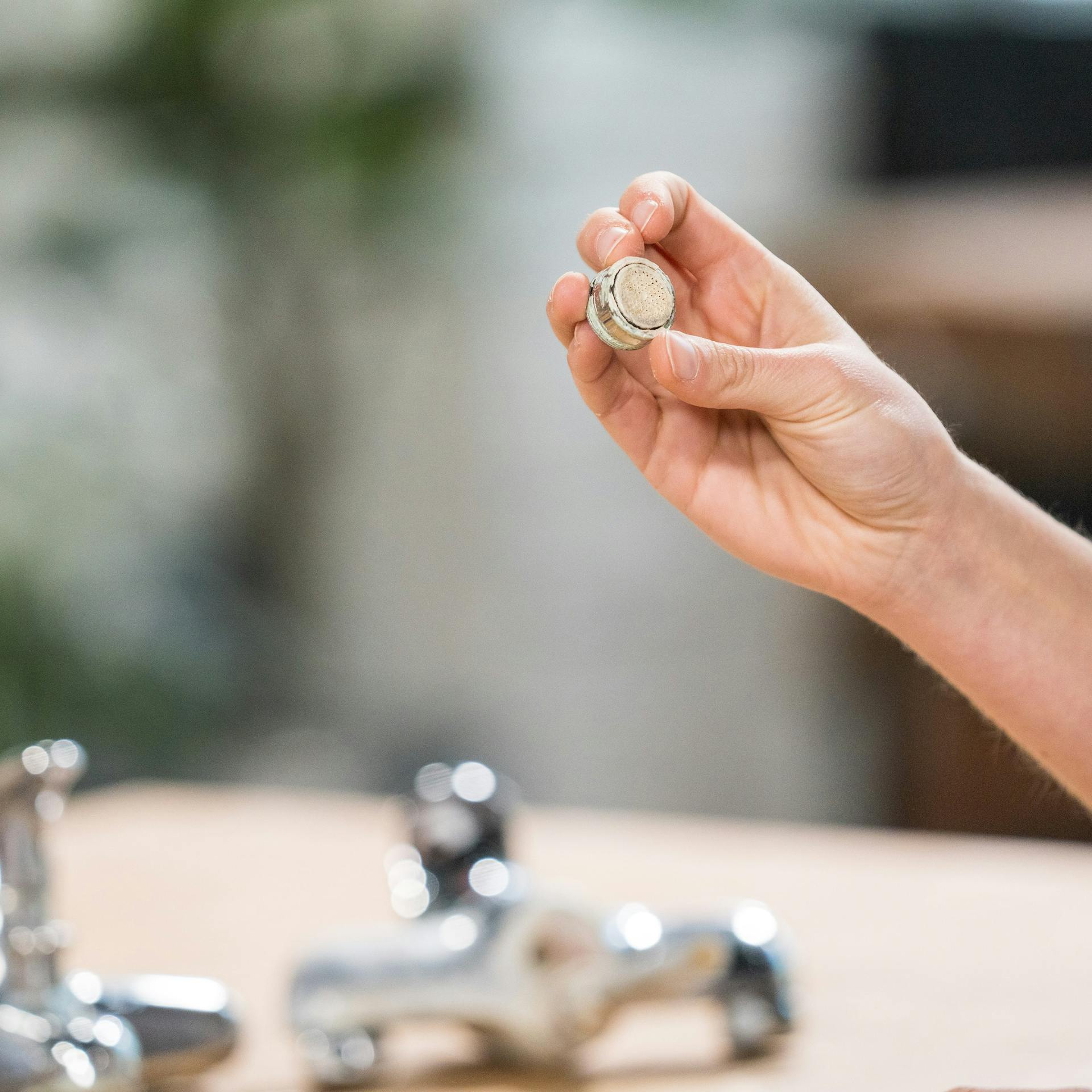 Un perlator calcificato