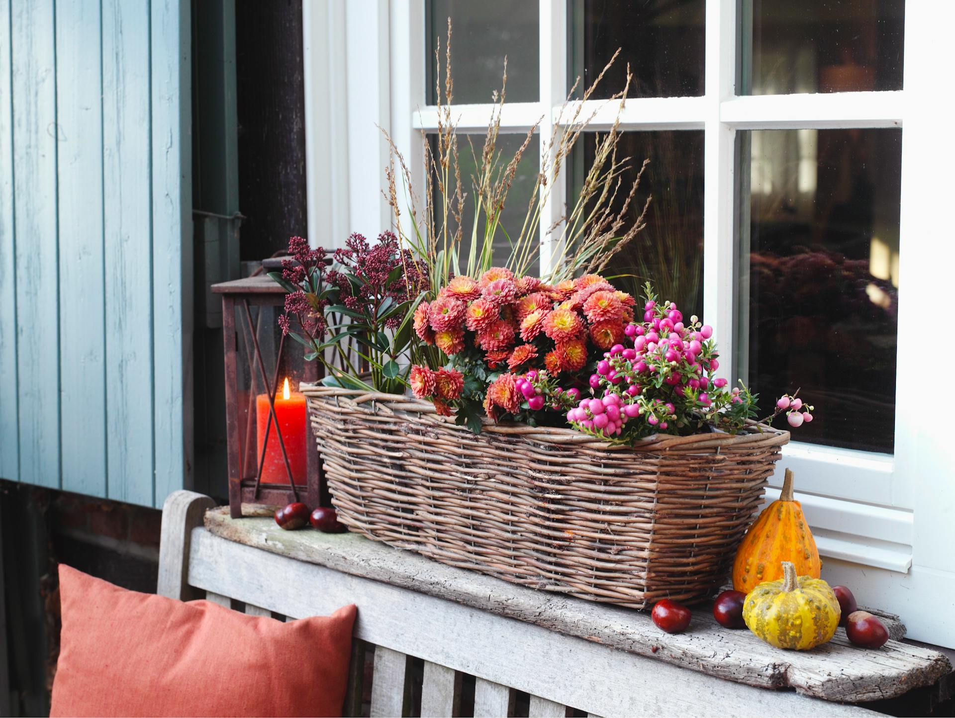 Jesenný kvetináč s kvetmi odolnými proti zime