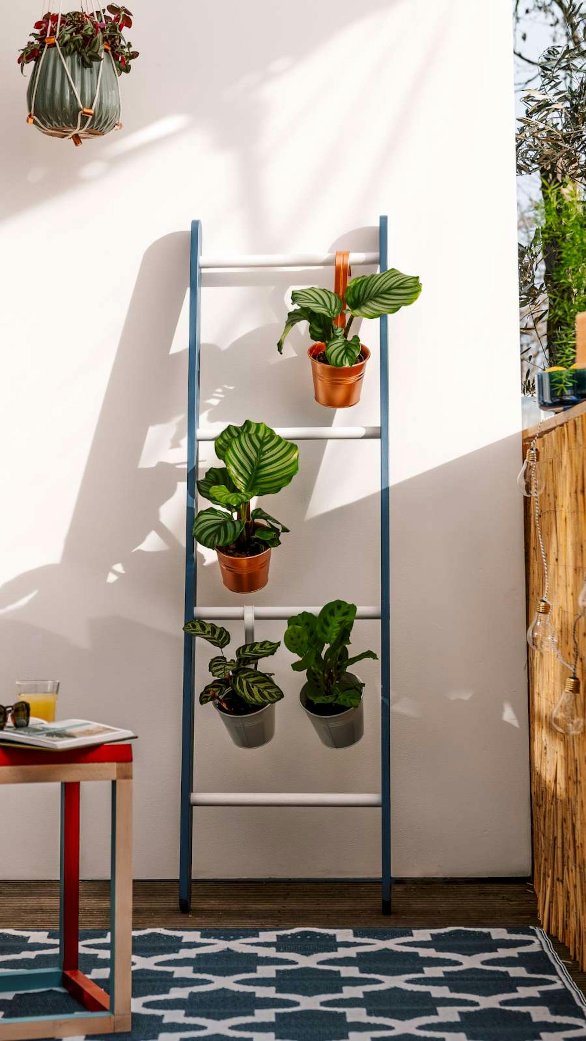 Eine kleine Leiter, die angelehnt an der Wand mit verschiedenen Blumenvasen dekoriert steht.