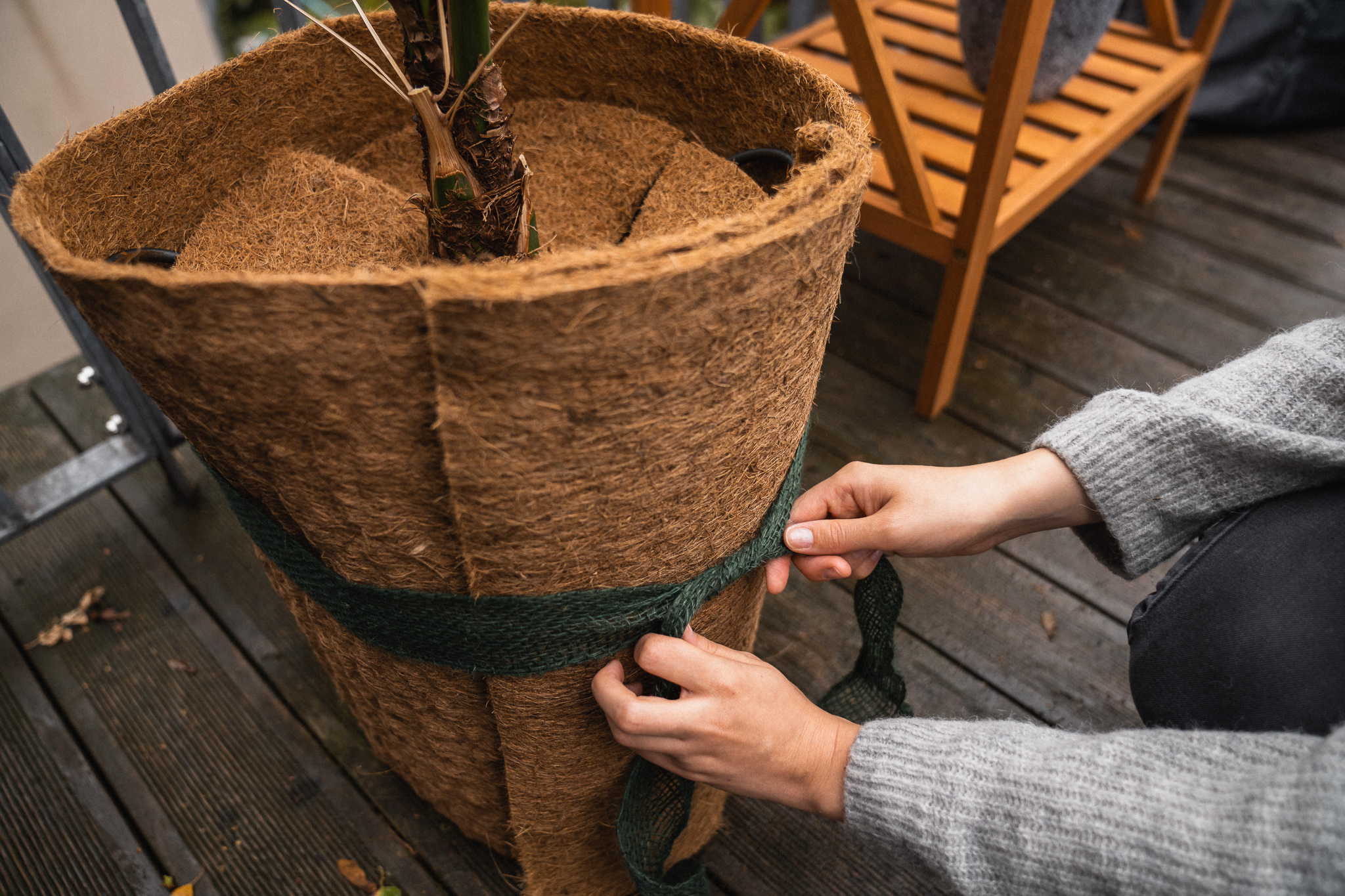 Balkonpflanzen mit Matte einwickeln