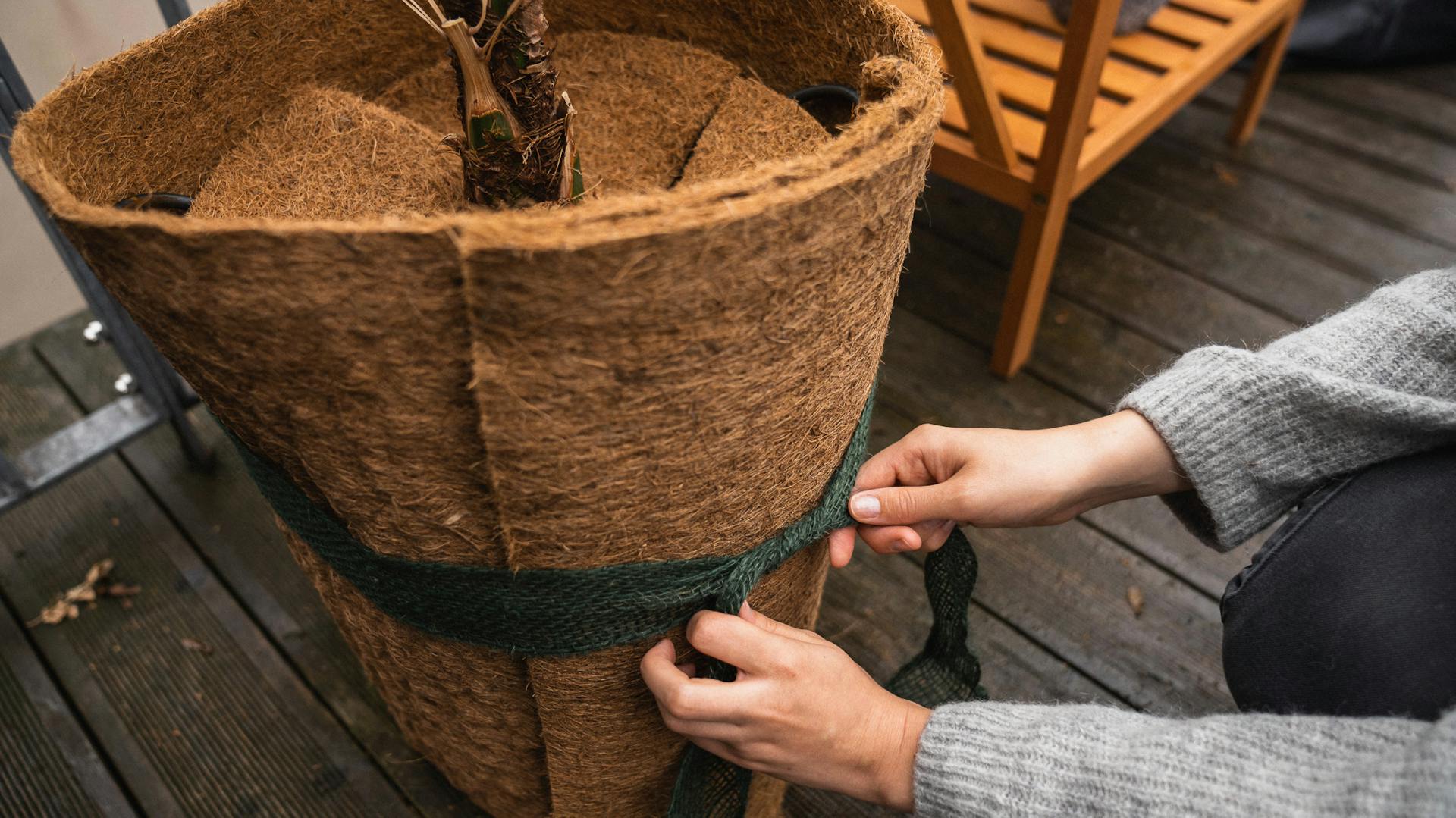 Avvolgere le piante da balcone con una stuoia