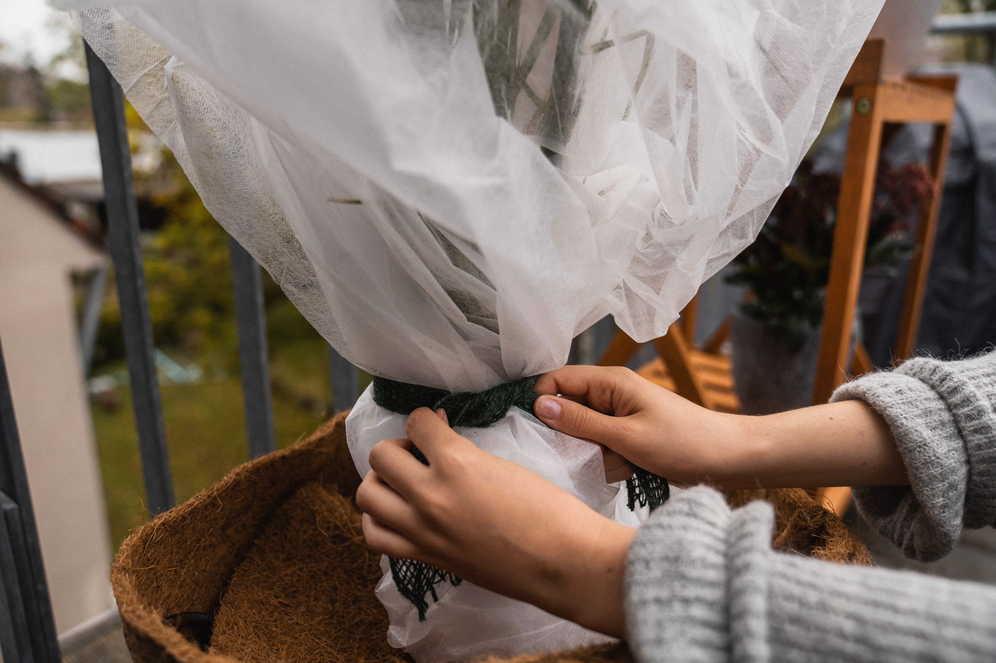 Winterschutzhaube für Pflanzen befestigen