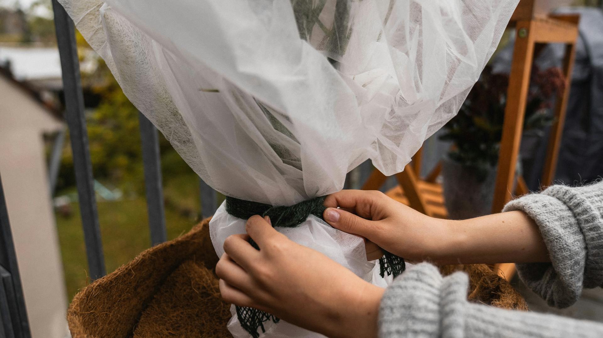 Fissare la copertura invernale di protezione per piante