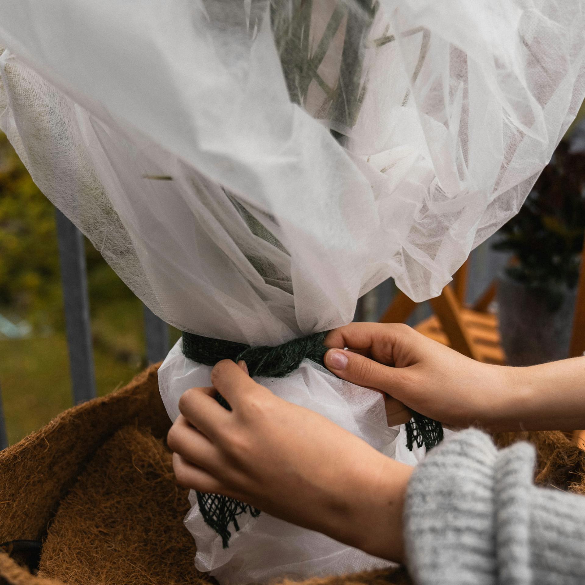 Winterschutzhaube für Pflanzen befestigen