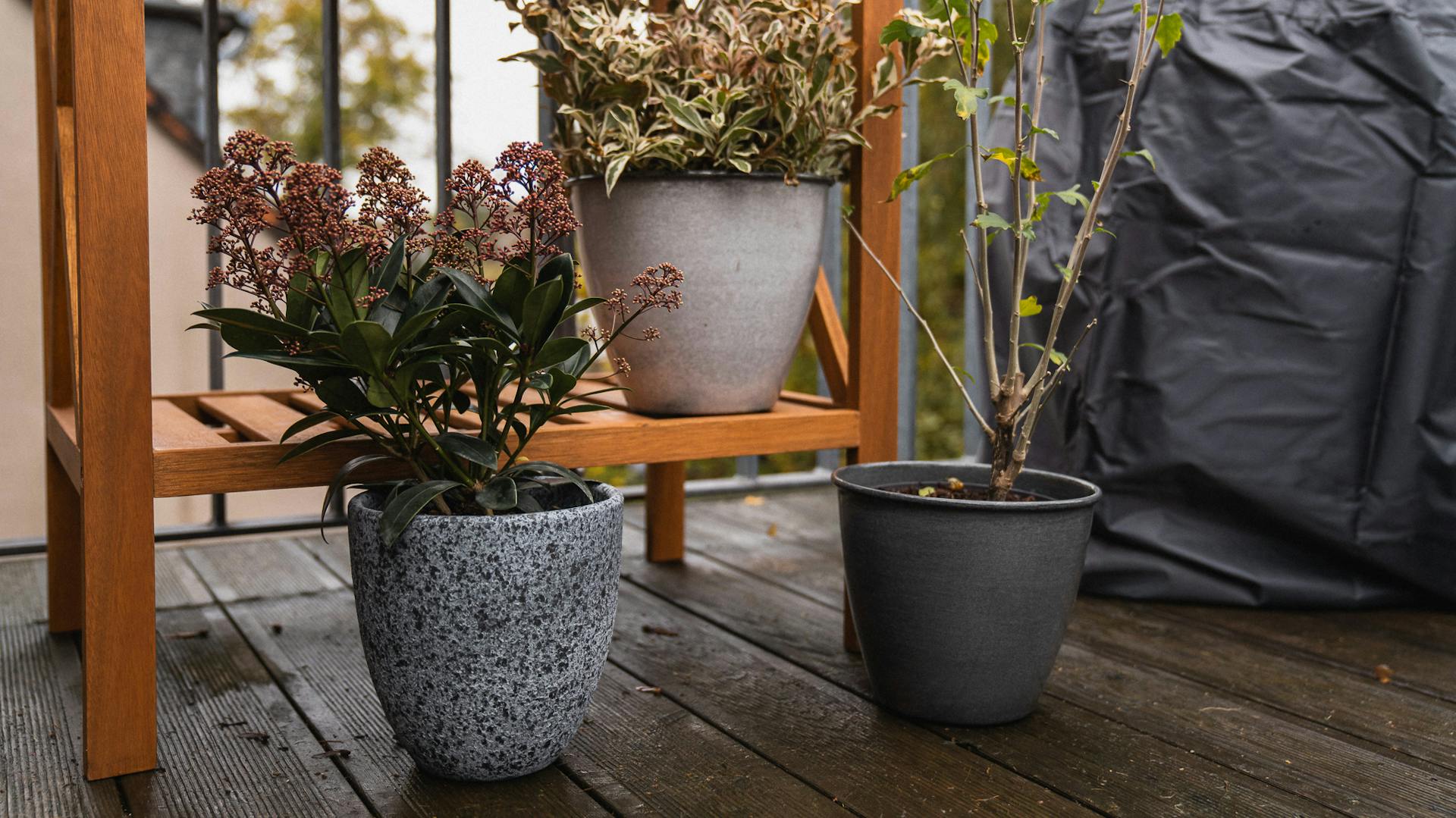 Piante da vaso su balcone