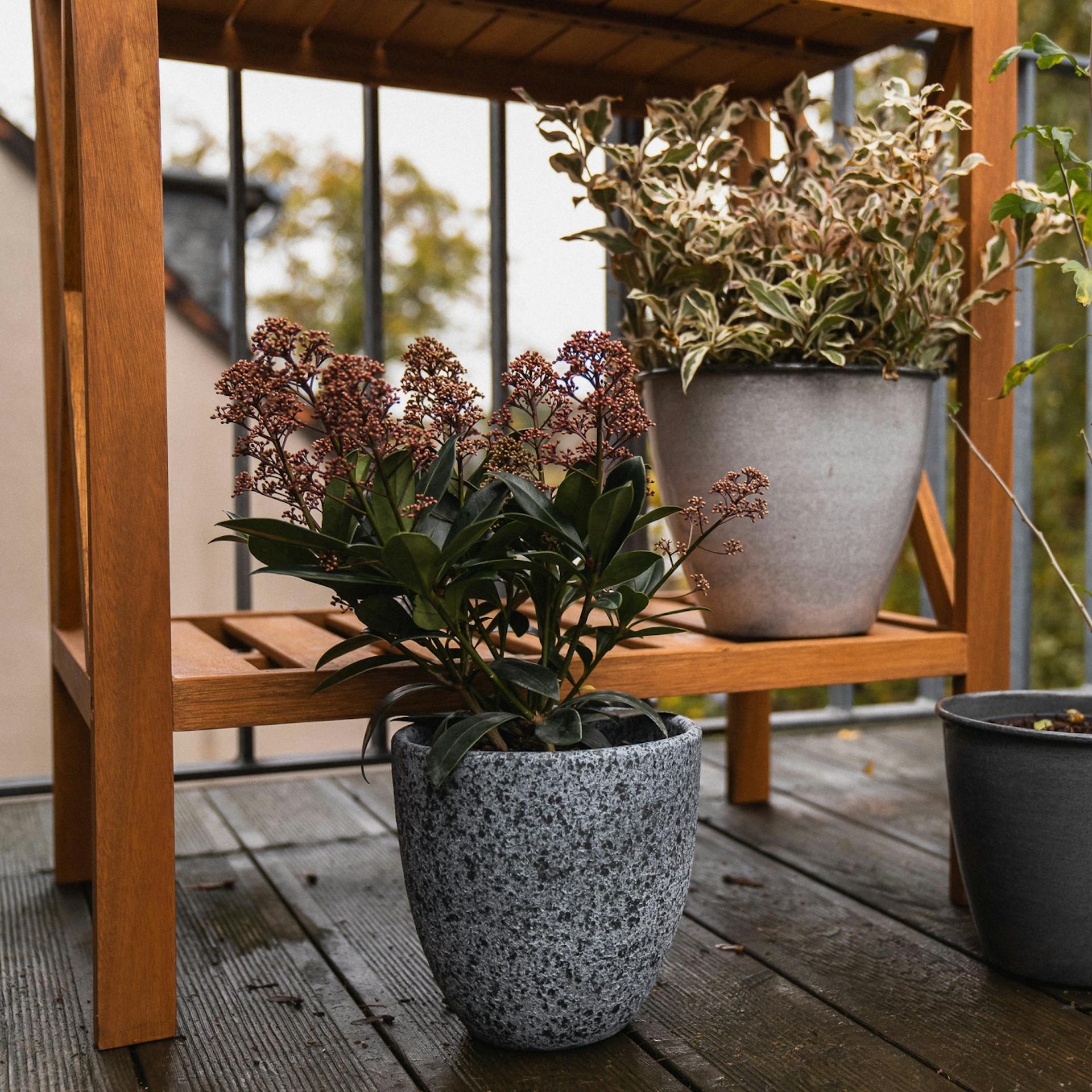 Topfpflanzen auf Balkon