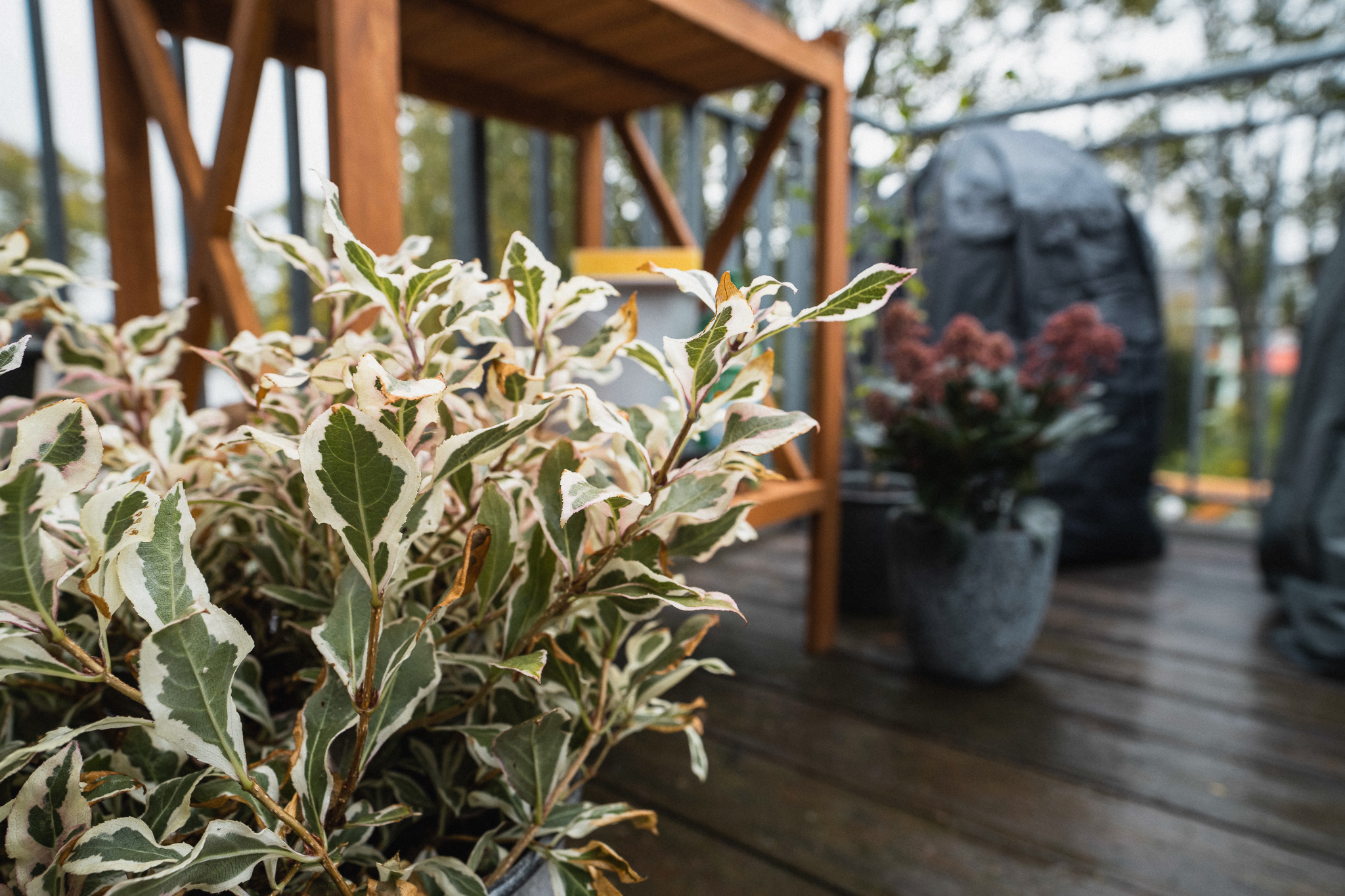 Balkon winterfest machen Tipps für den Herbst OBI