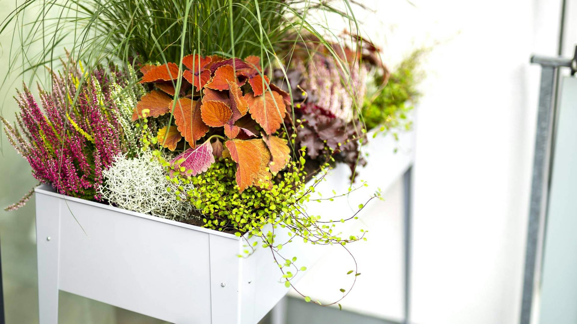 Pflanzkasten mit Pflanzen und Blumen