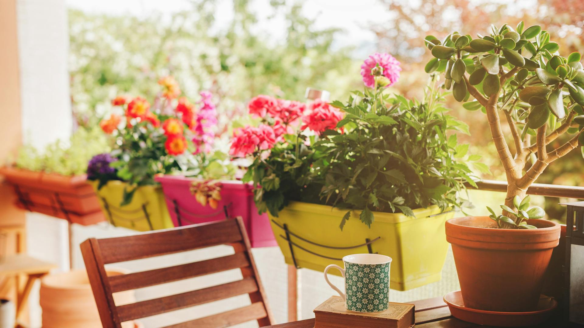 Pflanzen für den sonnigen Balkon