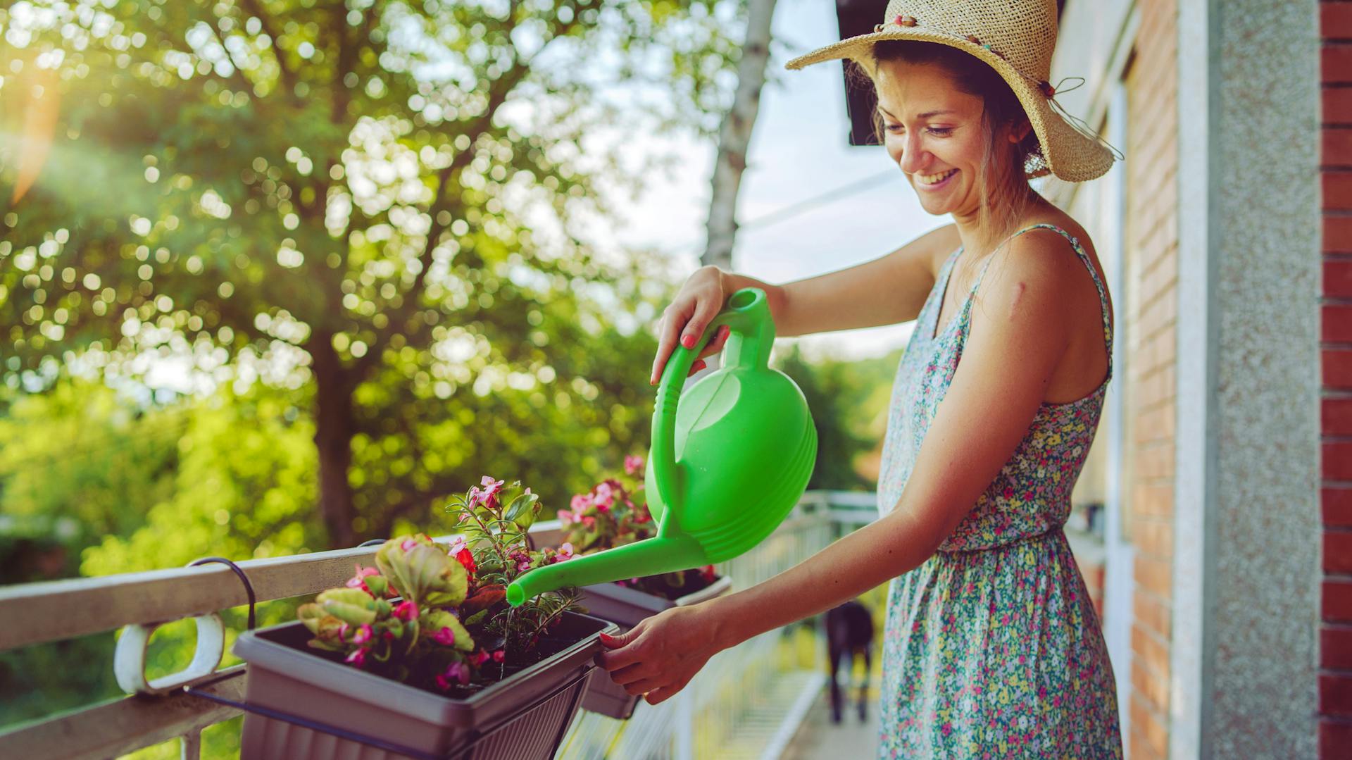 Una donna innaffia i gerani sul suo balcone.