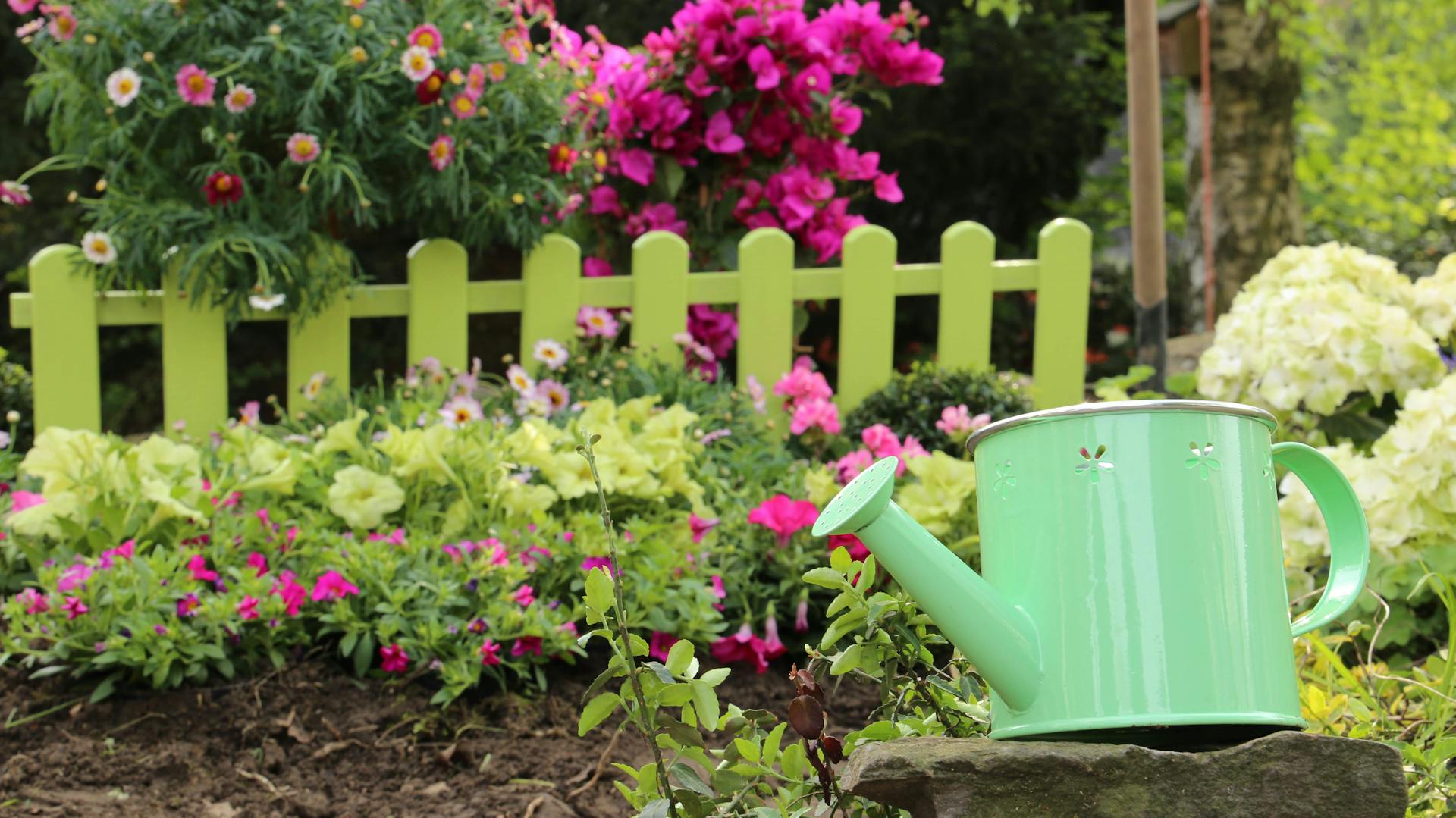 Annaffiatoio color turchese per i fiori estivi