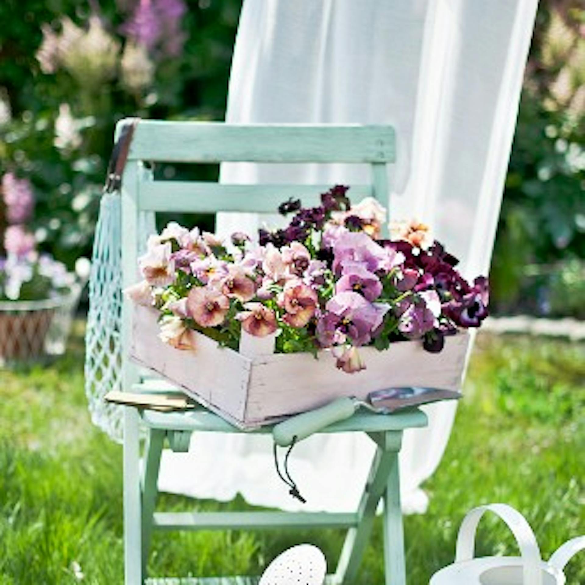 Ein Holzblumenkasten mit lila Blumen steht auf einem Stuhl im Garten.