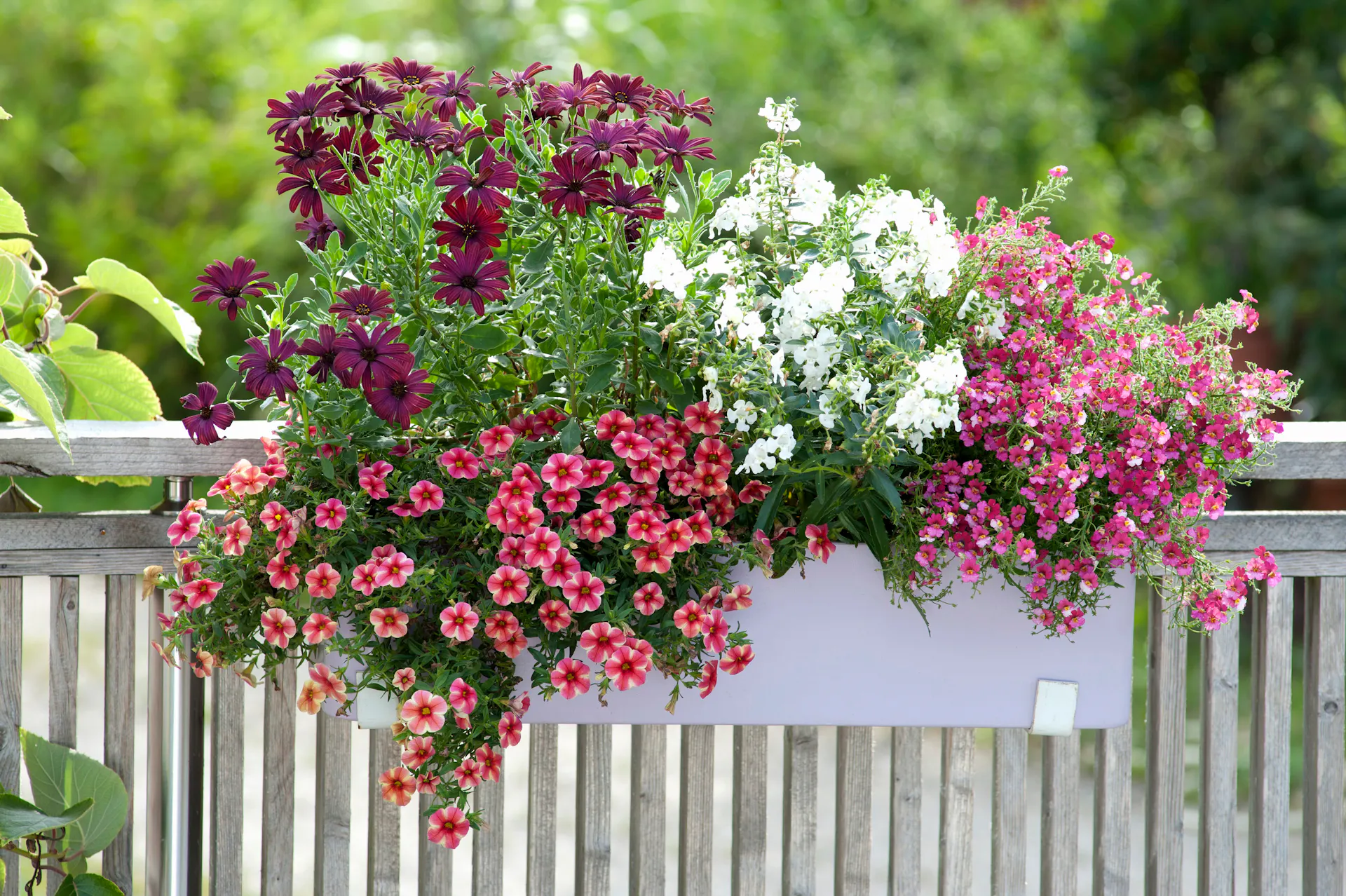 Une jardinière blanche avec des fleurs suspendue à un balcon.