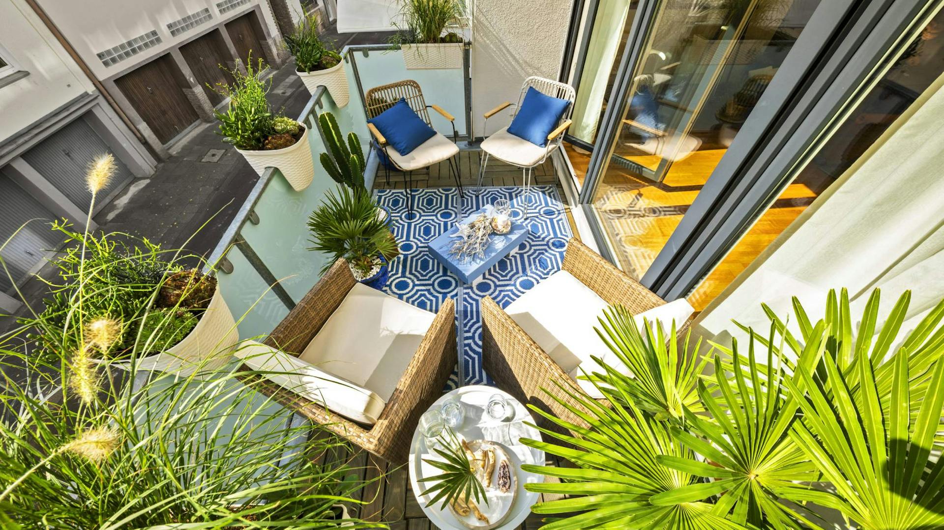 Sitzgruppe auf wohnlich gestaltetem Balkon mit Palmen und Kakteen